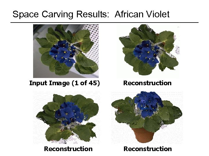 Space Carving Results: African Violet Input Image (1 of 45) Reconstruction 