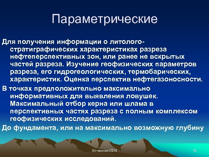 Параметрические Для получения информации о литологостратиграфических характеристиках разреза нефтеперспективных зон, или ранее не вскрытых