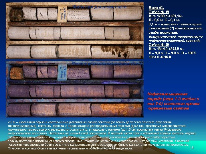 Фото при дневном свете Ящик 53. Отбор № 19 Инт. 1780, 5 -1781, 1