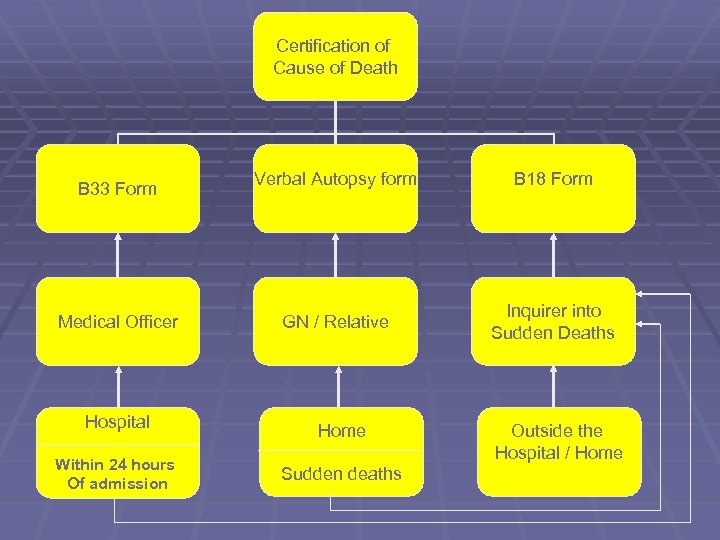 Certification of Cause of Death B 33 Form Medical Officer Hospital Within 24 hours