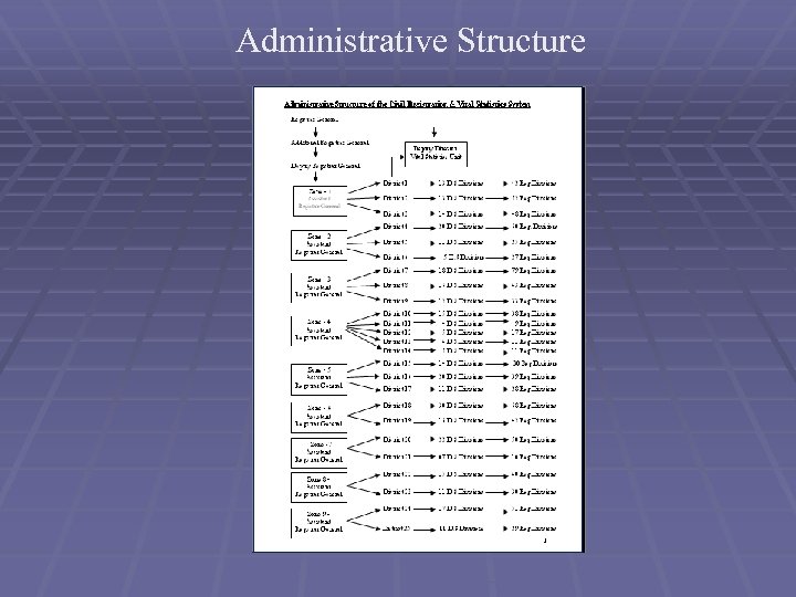 Administrative Structure 