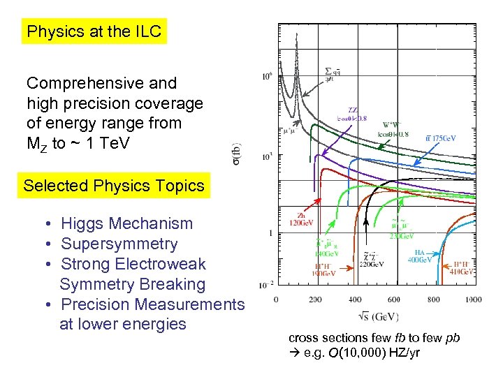 Physics at the ILC Comprehensive and high precision coverage of energy range from MZ