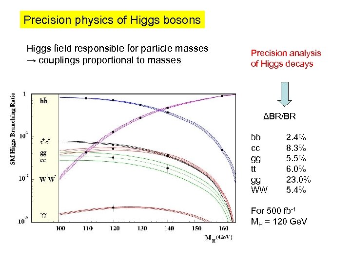 Precision physics of Higgs bosons Higgs field responsible for particle masses → couplings proportional