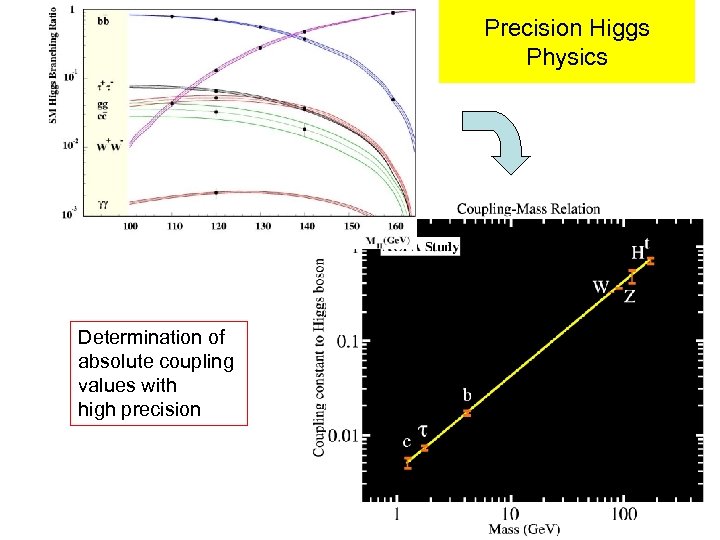 Precision Higgs Physics Determination of absolute coupling values with high precision 
