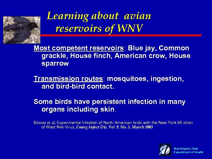 Learning about avian reservoirs of WNV Most competent reservoirs: Blue jay, Common grackle, House