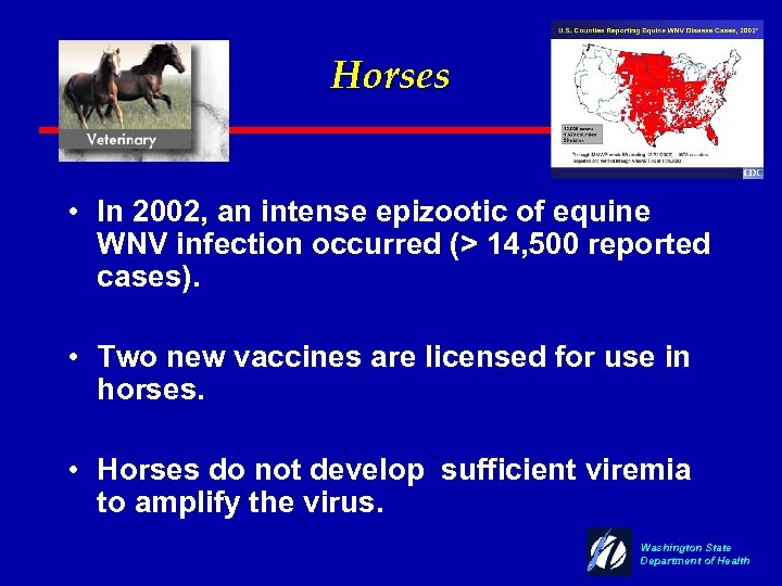 Horses • In 2002, an intense epizootic of equine WNV infection occurred (> 14,