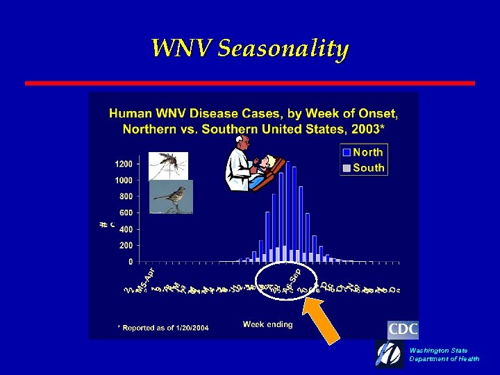 WNV Seasonality Washington State Department of Health 