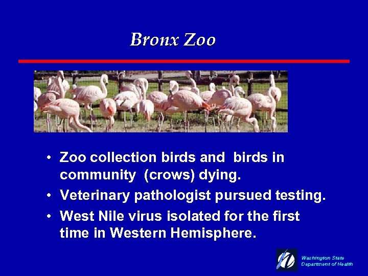 Bronx Zoo • Zoo collection birds and birds in community (crows) dying. • Veterinary