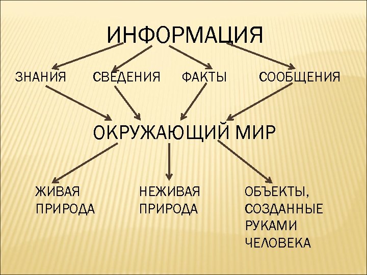 ИНФОРМАЦИЯ ЗНАНИЯ СВЕДЕНИЯ ФАКТЫ СООБЩЕНИЯ ОКРУЖАЮЩИЙ МИР ЖИВАЯ ПРИРОДА НЕЖИВАЯ ПРИРОДА ОБЪЕКТЫ, СОЗДАННЫЕ РУКАМИ