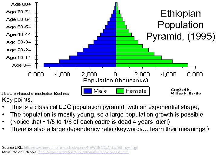 Ethiopian Population Pyramid, (1995) Key points: • This is a classical LDC population pyramid,