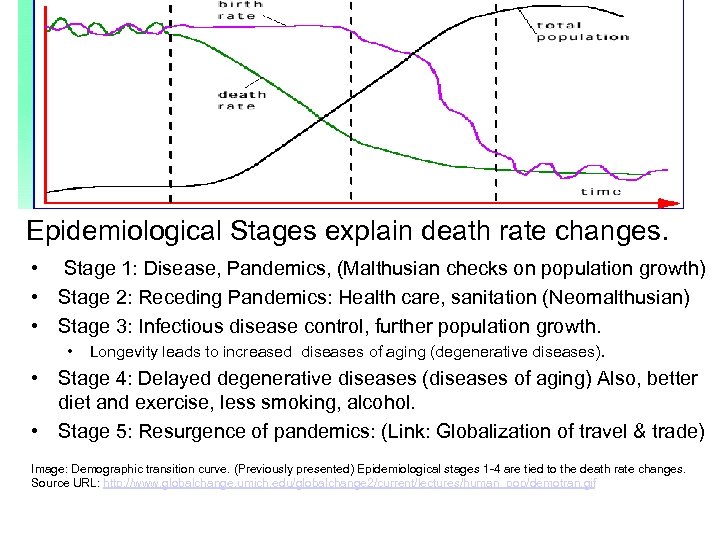 Epidemiological Stages explain death rate changes. • Stage 1: Disease, Pandemics, (Malthusian checks on