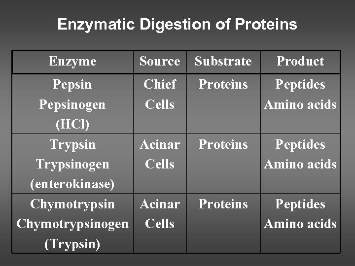 Enzymatic Digestion of Proteins Enzyme Source Substrate Product Pepsin Chief Pepsinogen Cells (HCl) Trypsin