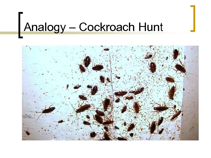Analogy – Cockroach Hunt 