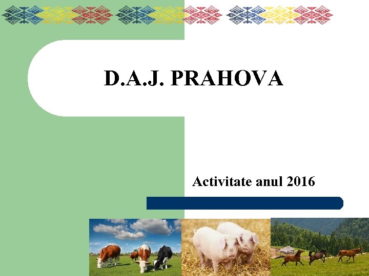 D. A. J. PRAHOVA Activitate anul 2016 
