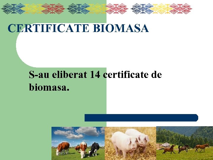 CERTIFICATE BIOMASA S-au eliberat 14 certificate de biomasa. 