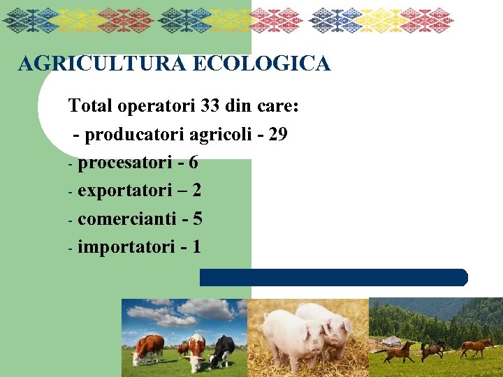 AGRICULTURA ECOLOGICA Total operatori 33 din care: - producatori agricoli - 29 - procesatori