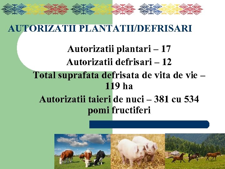 AUTORIZATII PLANTATII/DEFRISARI Autorizatii plantari – 17 Autorizatii defrisari – 12 Total suprafata defrisata de