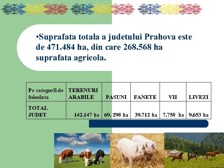 • Suprafata totala a judetului Prahova este de 471. 484 ha, din care