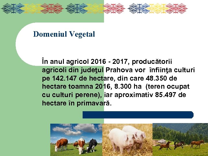 Domeniul Vegetal În anul agricol 2016 - 2017, producătorii agricoli din judeţul Prahova vor