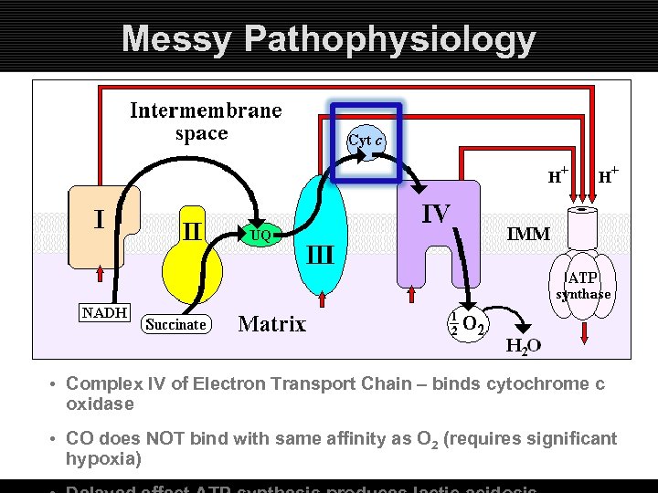 Messy Pathophysiology • Complex IV of Electron Transport Chain – binds cytochrome c oxidase