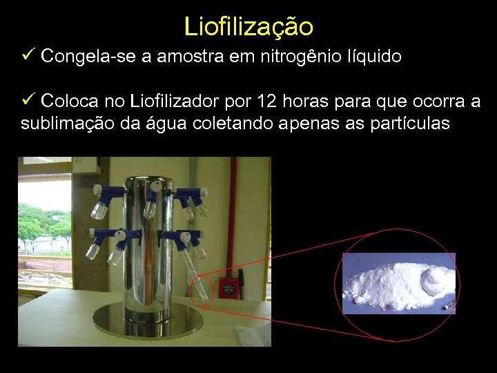 Liofilização ü Congela-se a amostra em nitrogênio líquido ü Coloca no Liofilizador por 12