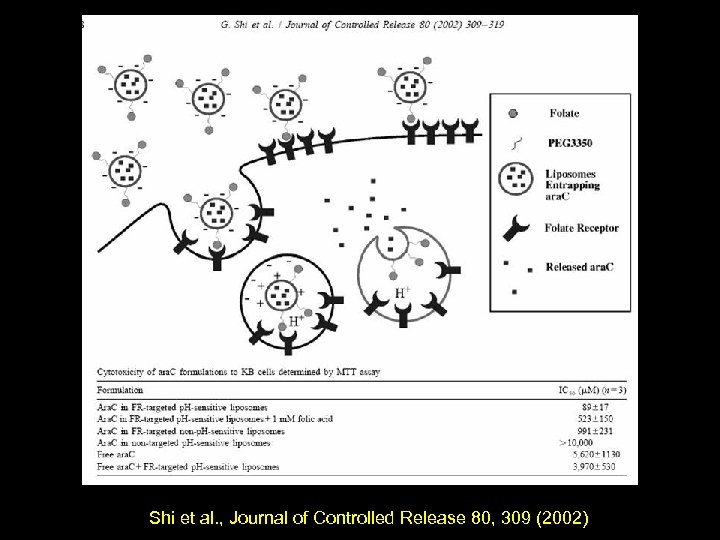 Shi et al. , Journal of Controlled Release 80, 309 (2002) 