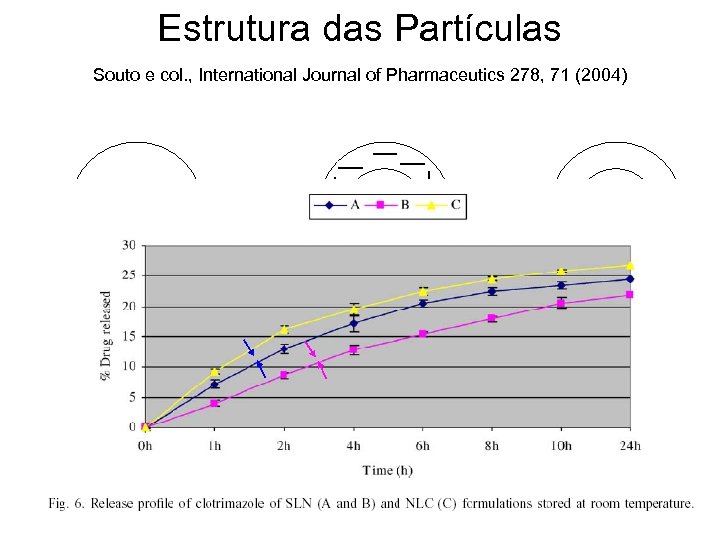 Estrutura das Partículas Souto e col. , International Journal of Pharmaceutics 278, 71 (2004)