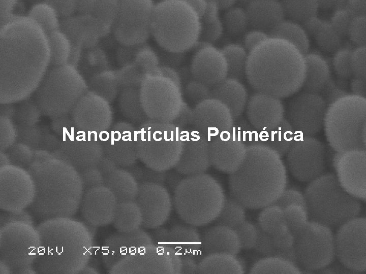 Nanopartículas Polimérica 