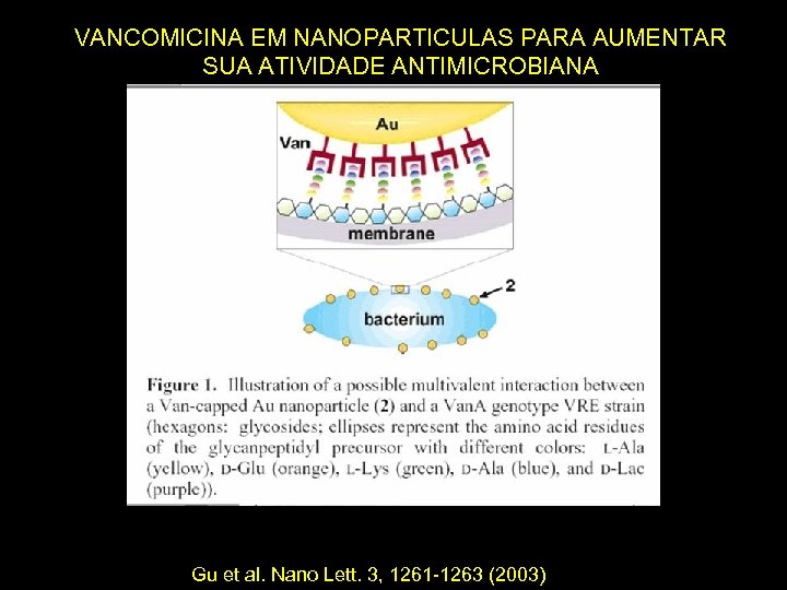 VANCOMICINA EM NANOPARTICULAS PARA AUMENTAR SUA ATIVIDADE ANTIMICROBIANA Gu et al. Nano Lett. 3,