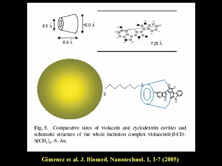 Gimenez et al. J. Biomed. Nanotechnol. 1, 1 -7 (2005) 