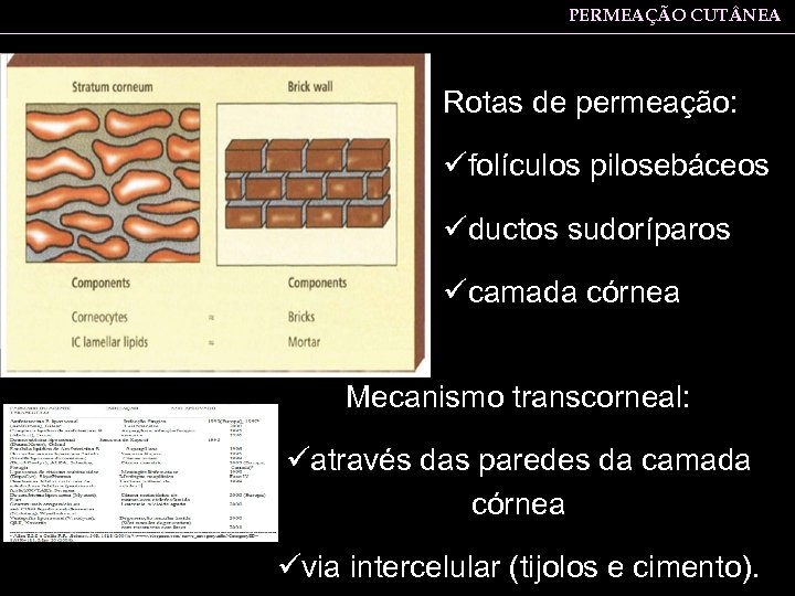 PERMEAÇÃO CUT NEA Rotas de permeação: üfolículos pilosebáceos üductos sudoríparos ücamada córnea Mecanismo transcorneal:
