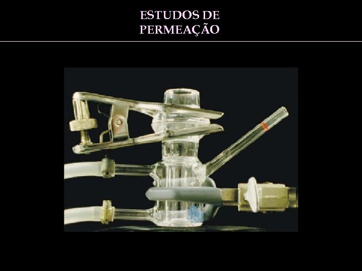 ESTUDOS DE PERMEAÇÃO 