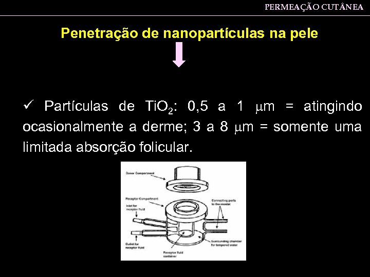 PERMEAÇÃO CUT NEA Penetração de nanopartículas na pele ü Partículas de Ti. O 2:
