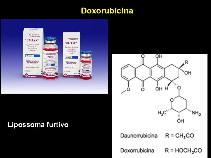 Doxorubicina Lipossoma furtivo 