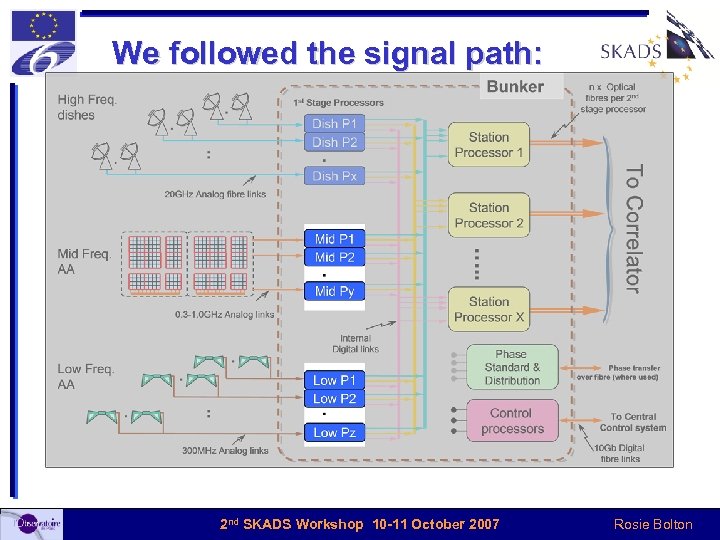 We followed the signal path: 2 nd SKADS Workshop 10 -11 October 2007 Rosie