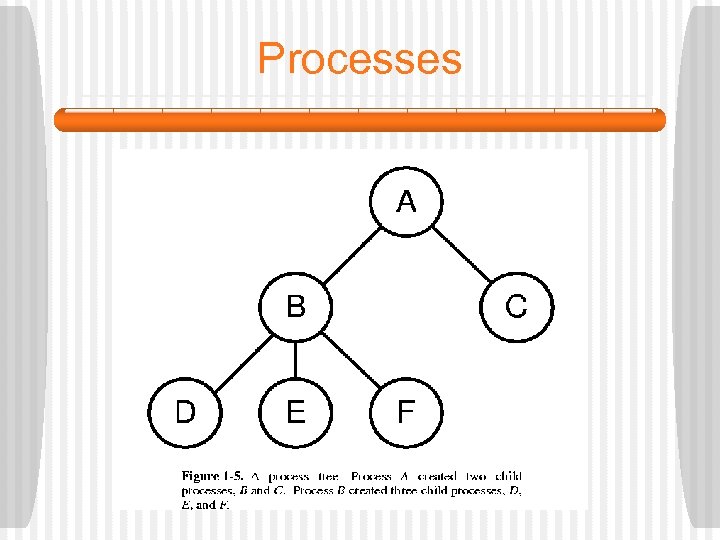 Processes 
