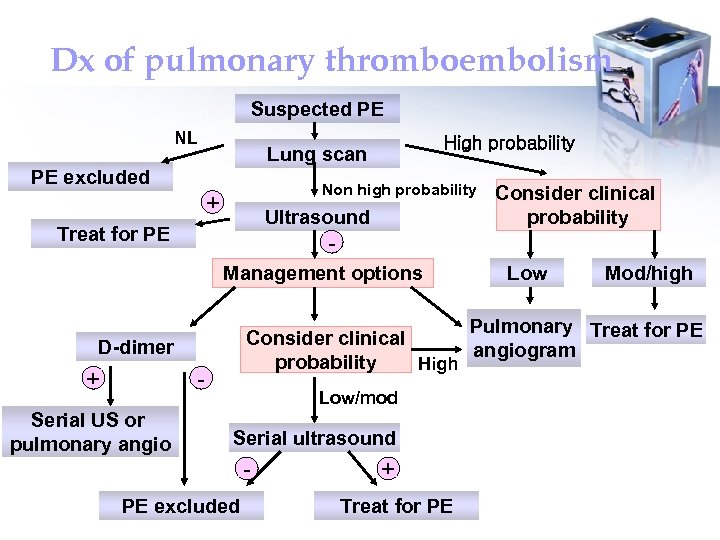 Dx of pulmonary thromboembolism Suspected PE NL High probability Lung scan PE excluded Non