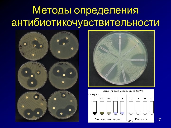 Методы определения антибиотикочувствительности 17 