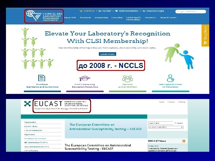 до 2008 г. - NCCLS 20 