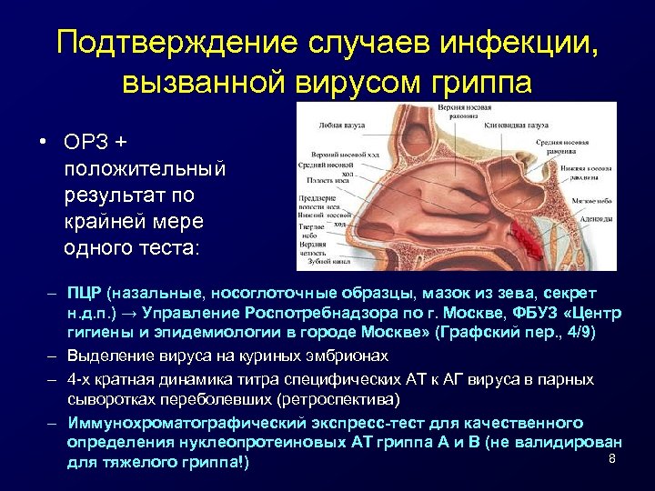 Подтверждение случаев инфекции, вызванной вирусом гриппа • ОРЗ + положительный результат по крайней мере
