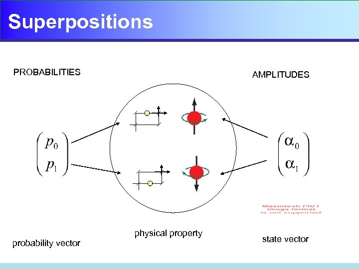 Superpositions PROBABILITIES probability vector AMPLITUDES physical property state vector 