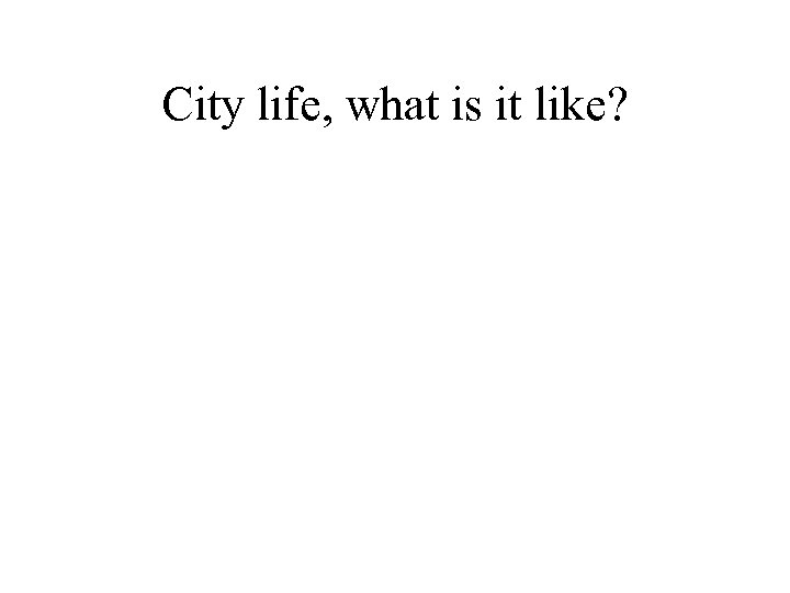 City life, what is it like? 