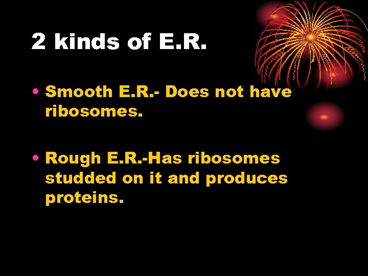2 kinds of E. R. • Smooth E. R. - Does not have ribosomes.
