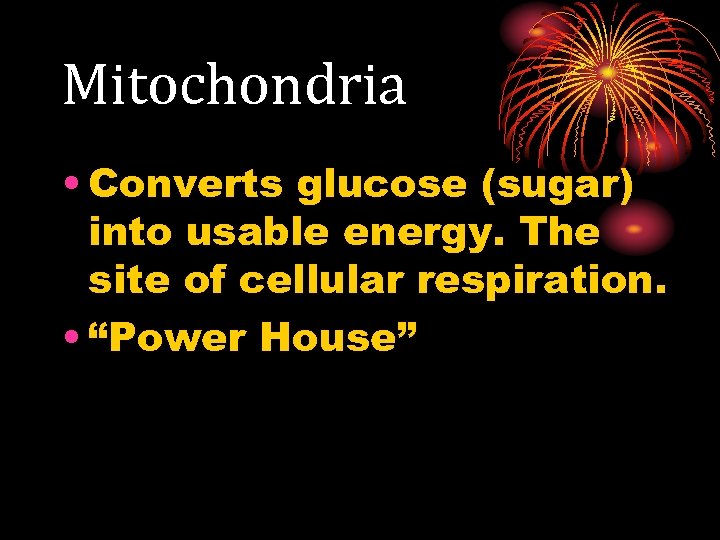 Mitochondria • Converts glucose (sugar) into usable energy. The site of cellular respiration. •