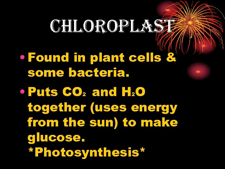 Chloroplast • Found in plant cells & some bacteria. • Puts CO and H