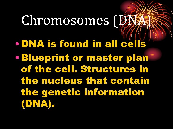 Chromosomes (DNA) • DNA is found in all cells • Blueprint or master plan