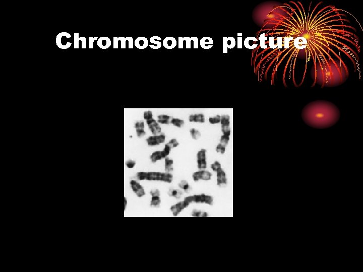 Chromosome picture 