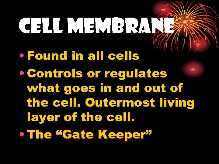 Cell Membrane • Found in all cells • Controls or regulates what goes in
