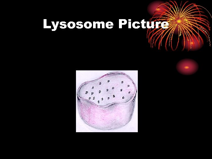 Lysosome Picture 