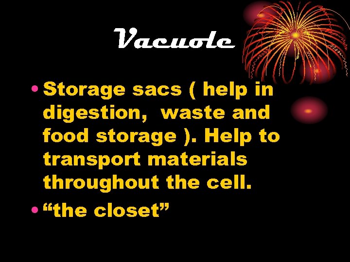 Vacuole • Storage sacs ( help in digestion, waste and food storage ). Help